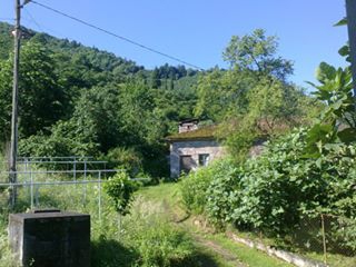 Yomra İkisu Köyü Resimleri 2