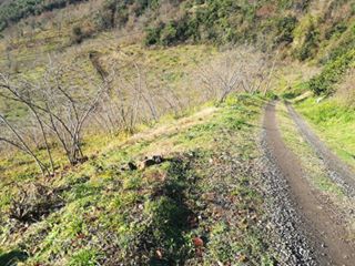 Yomra İkisu Köyü Resimleri 6