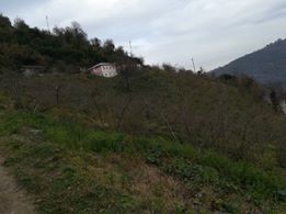 Yomra İkisu Köyü Resimleri 7