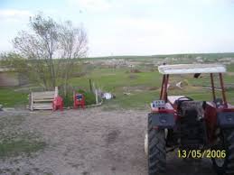 Bulanık Şehittahir Köyü Resimleri 2