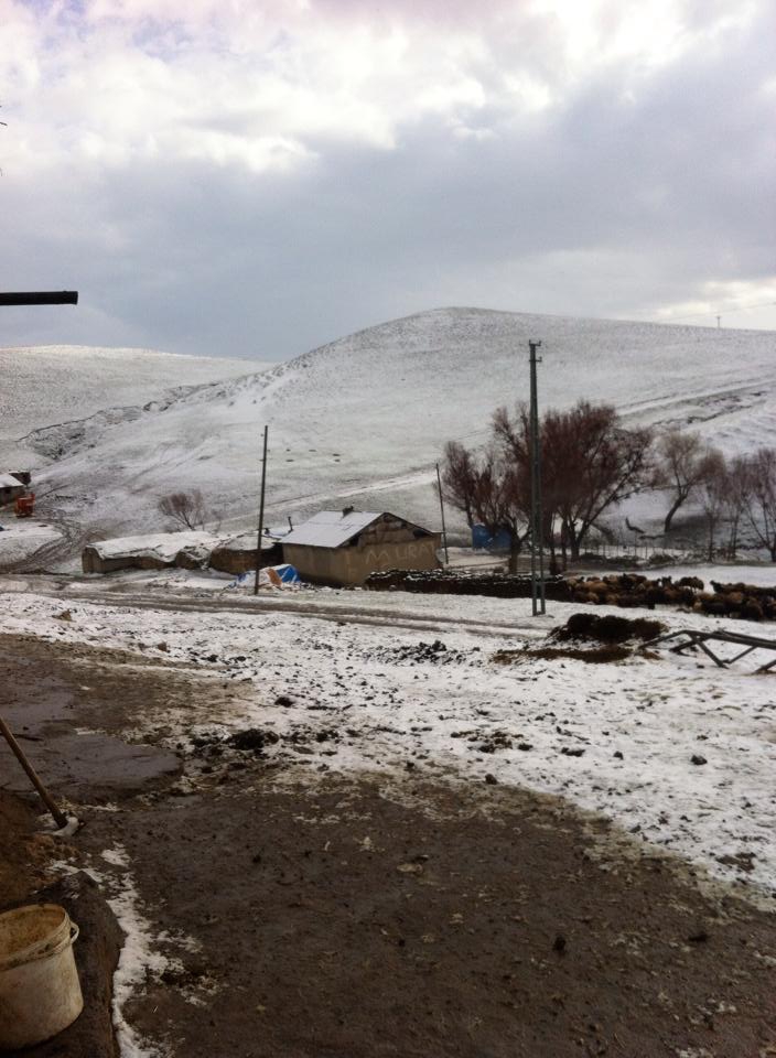 Bulanık Yazbaşı Köyü Resimleri 2