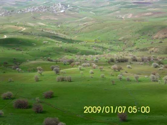 Bulanık Yokuşbaşı Köyü Resimleri 2