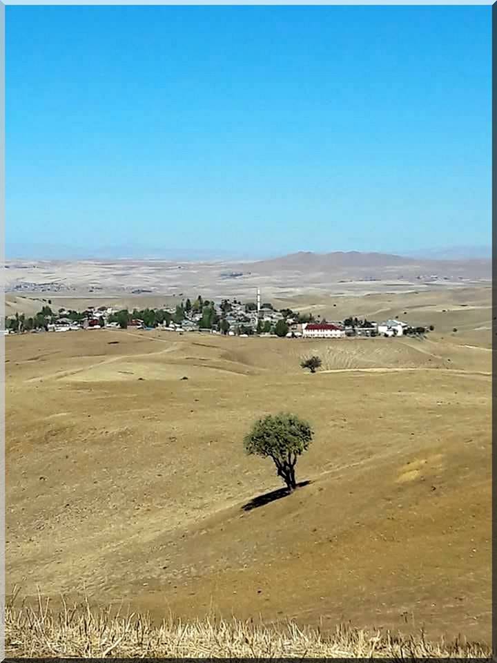 Bulanık Yokuşbaşı Köyü Resimleri 4