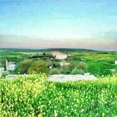 Bağlar Karahan Köyü Resimleri 7