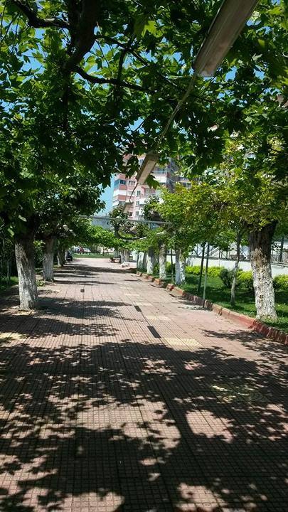 Darıca Bayramoğlu Köyü Resimleri 2