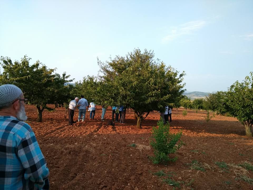 Darıca Nenehatun Köyü Resimleri 4