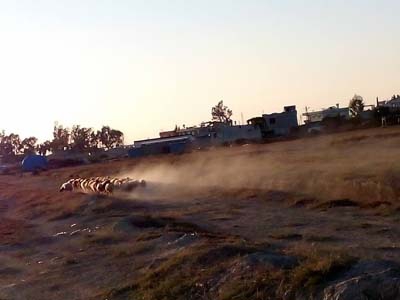 Adana Karataş Çimeli Köyü Resimleri 3