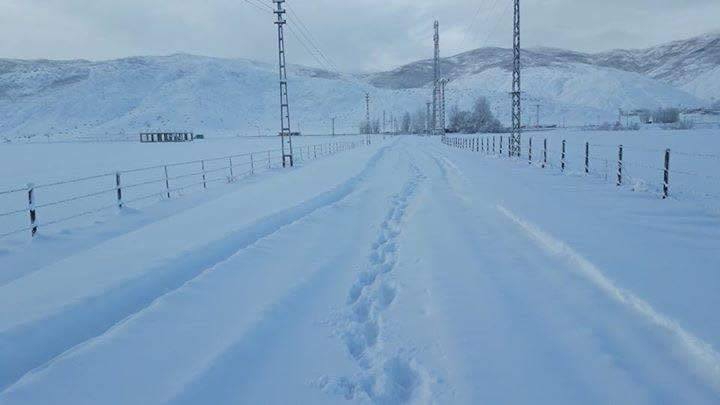 Hasköy Sarıbahçe  Köyü Resimleri 1