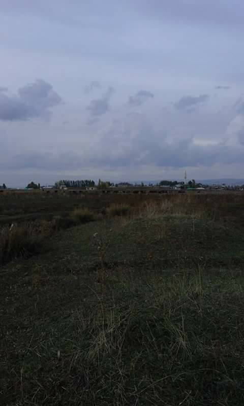 Hasköy Sarıbahçe  Köyü Resimleri 2