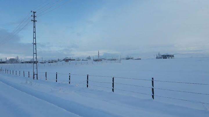 Hasköy Sarıbahçe  Köyü Resimleri 3