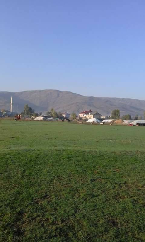 Hasköy Sarıbahçe  Köyü Resimleri 5