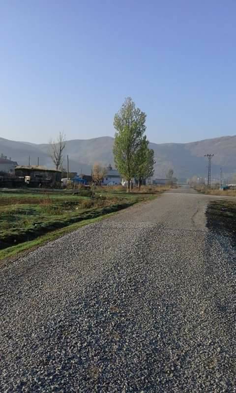 Hasköy Sarıbahçe  Köyü Resimleri 6