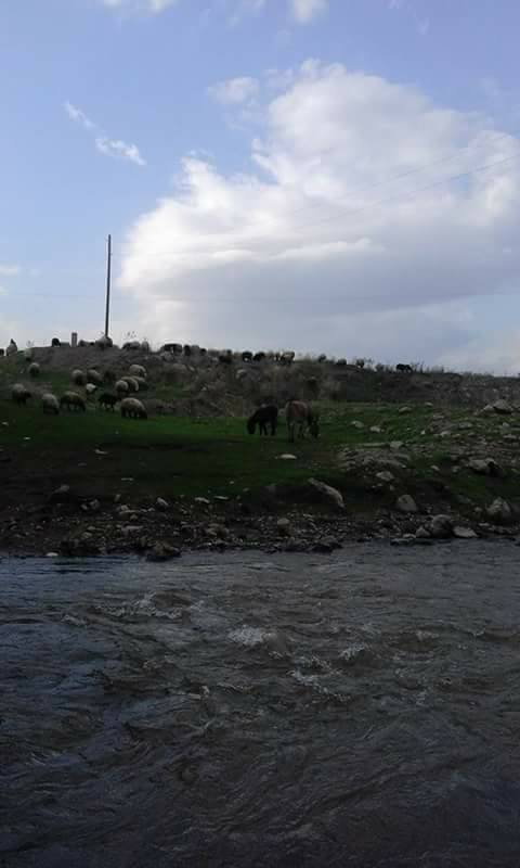Hasköy Sarıbahçe  Köyü Resimleri 9