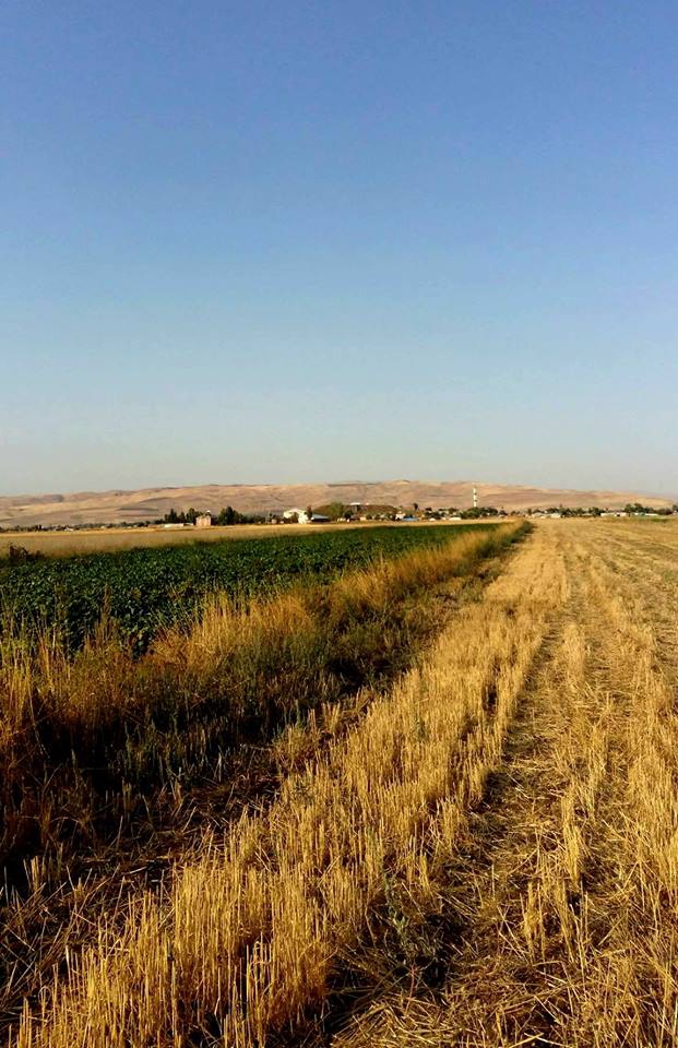 Korkut Alazlı Köyü Resimleri 4