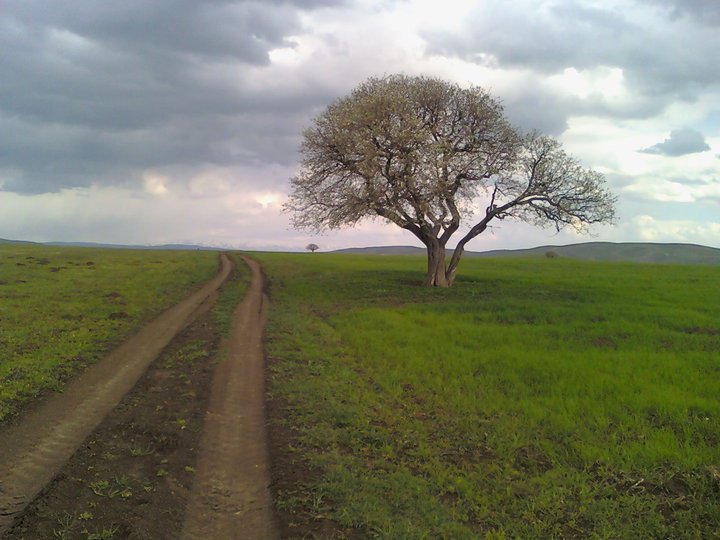 Korkut Balkır Köyü Resimleri 2