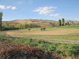 Korkut İçboğaz Köyü Resimleri 4