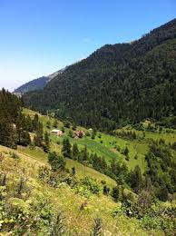 Yomra Madenköy Resimleri 4