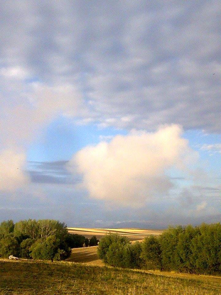 Malazgirt Alikalkan Köyü Resimleri 1