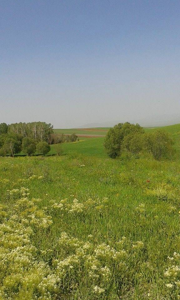 Malazgirt Alikalkan Köyü Resimleri 2