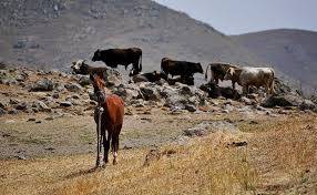 Malazgirt Alyar Köyü Resimleri 10