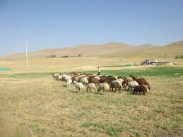 Malazgirt Arslankaya Köyü Resimleri 4