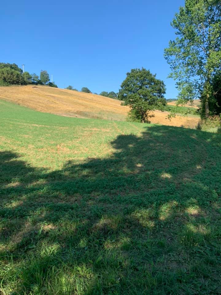 Derince Geredeli Köyü Resimleri 2