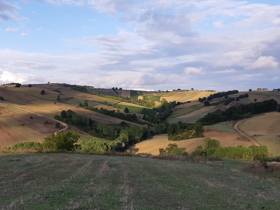 Derince Geredeli Köyü Resimleri 3