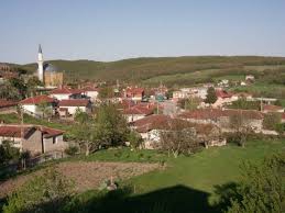 Malazgirt Balkaya Köyü Resimleri 2