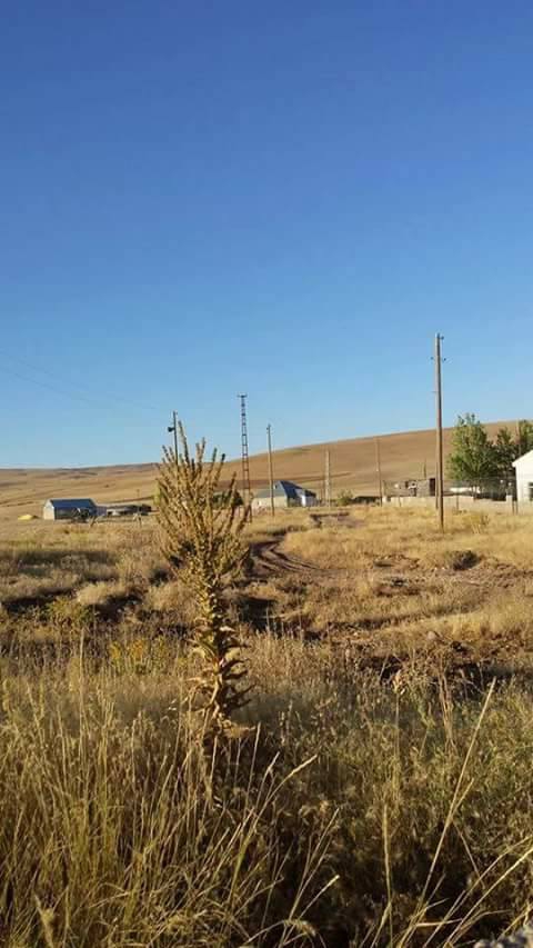 Malazgirt Beşdam Köyü Resimleri 7