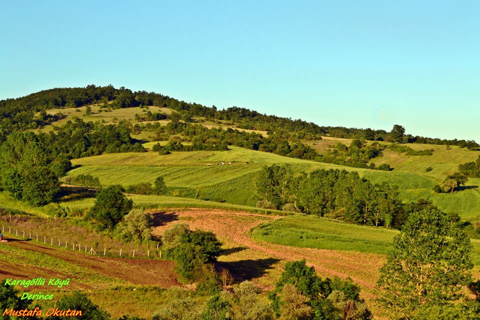 Derince Karagöllü Köyü Resimleri 2
