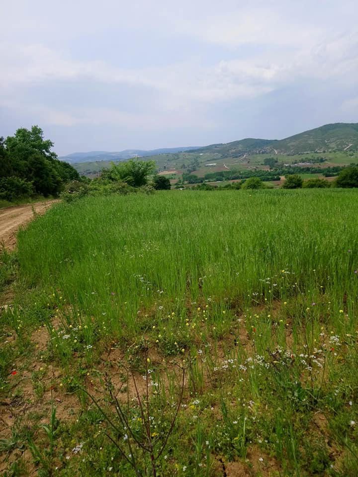 Derince Karagöllü Köyü Resimleri 5