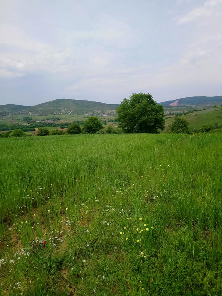 Derince Karagöllü Köyü Resimleri 6