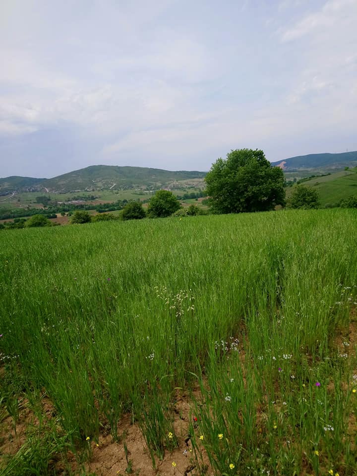 Derince Karagöllü Köyü Resimleri 7