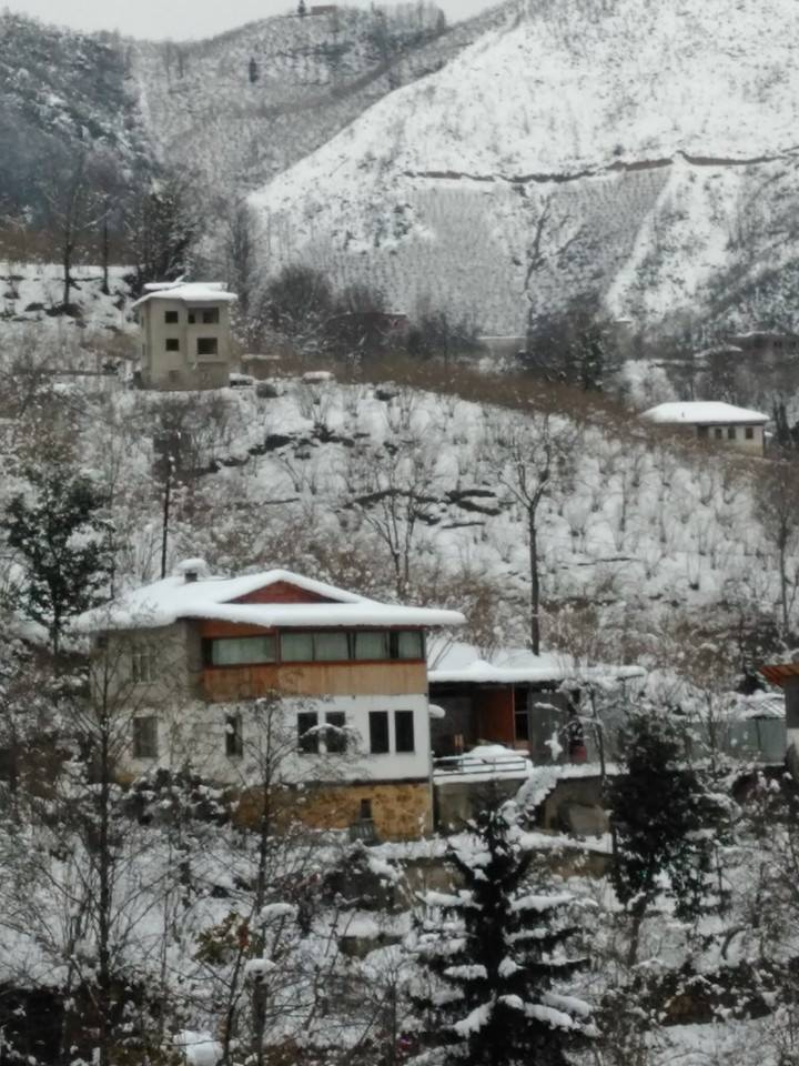 Yomra Yenice Köyü Resimleri 14