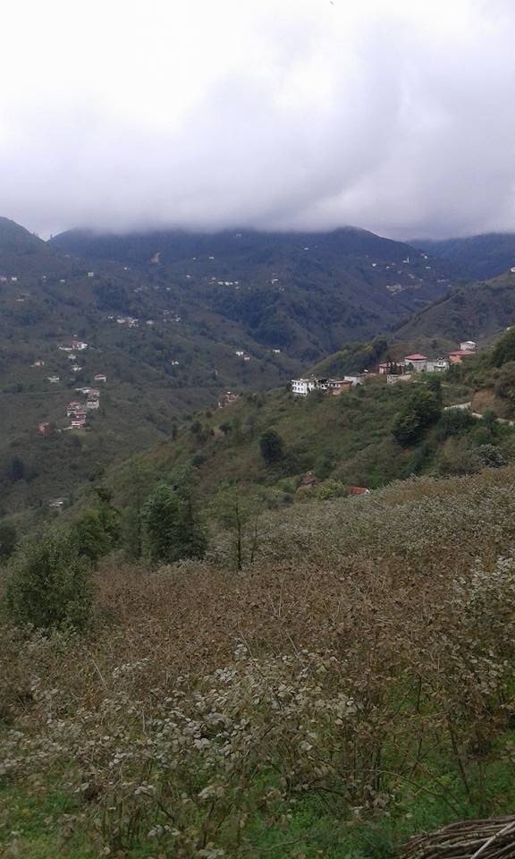 Yomra Yenice Köyü Resimleri 18