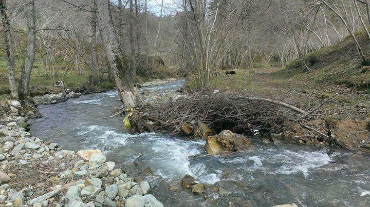 Yomra Yenice Köyü Resimleri 2