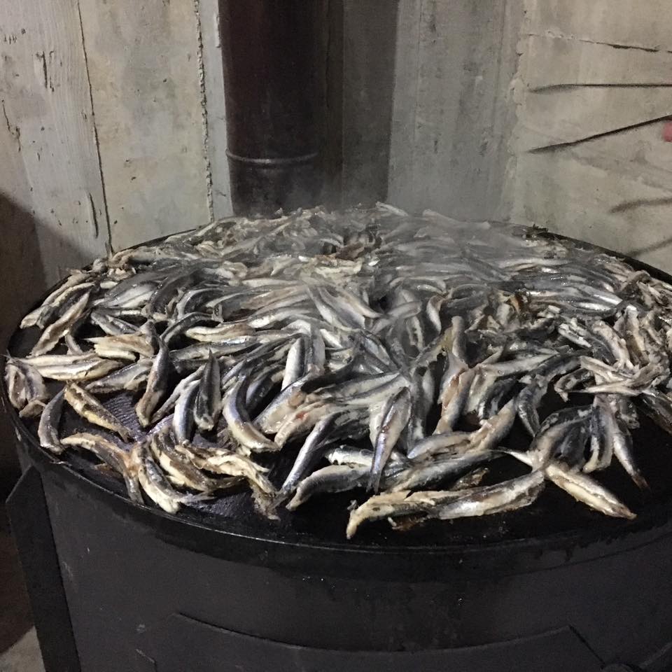 Yomra Yenice Köyü Resimleri 20