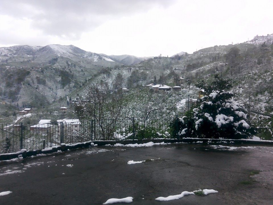 Yomra Yenice Köyü Resimleri 22