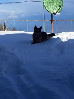 Yomra Yenice Köyü Resimleri 3