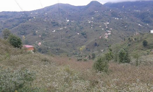 Yomra Yenice Köyü Resimleri 6