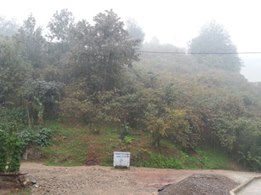 Yomra Yenice Köyü Resimleri 7