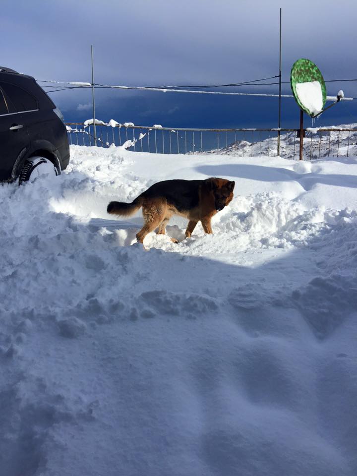 Yomra Yenice Köyü Resimleri 8