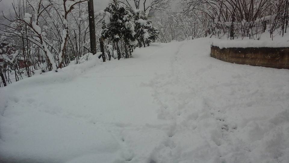 Yomra Yenice Köyü Resimleri 9