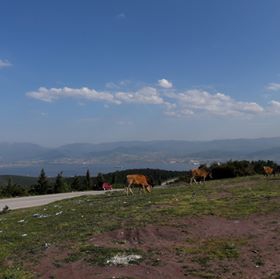 Derince Toylar Köyü Resimleri 5