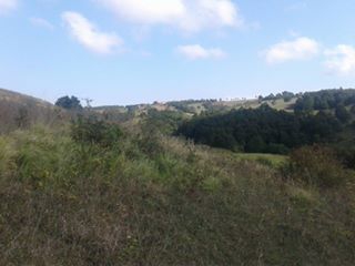 Derince Toylar Köyü Resimleri 6