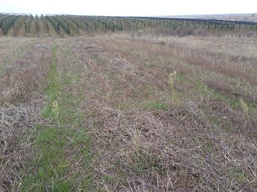 Babaeski Kuzuçardağı Köyü Resimleri 13