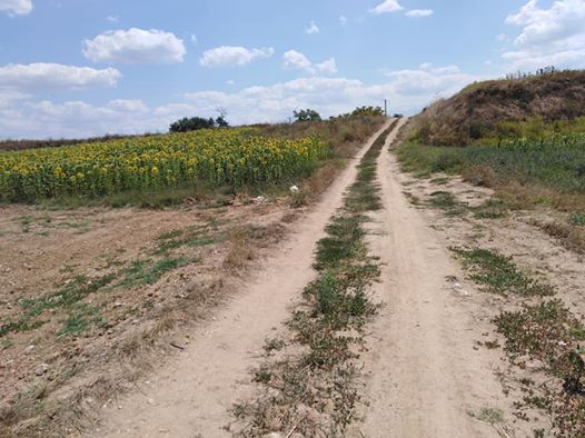 Babaeski Kuzuçardağı Köyü Resimleri 14