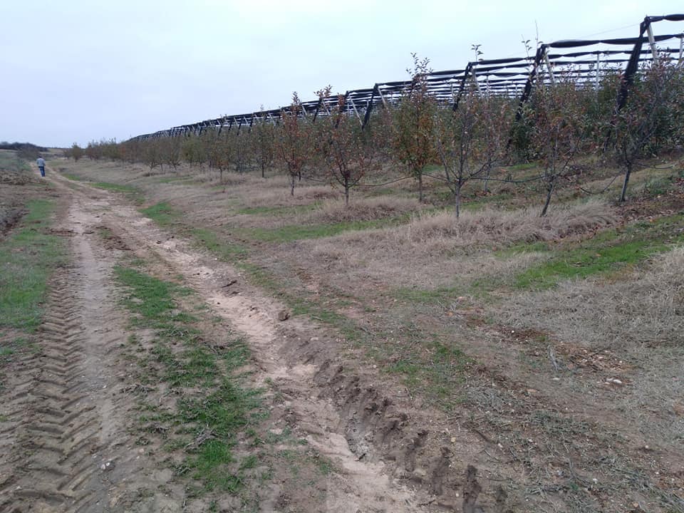 Babaeski Kuzuçardağı Köyü Resimleri 15