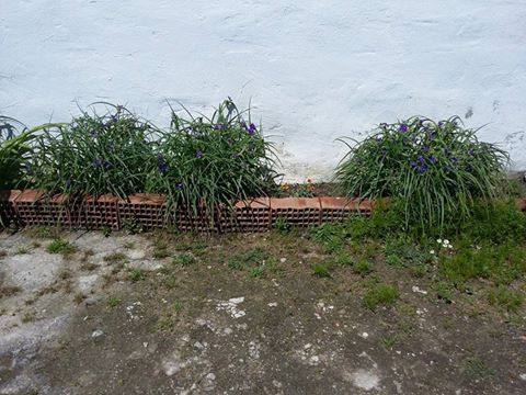 Babaeski Kuzuçardağı Köyü Resimleri 7