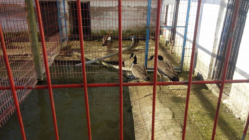 Babaeski Kuzuçardağı Köyü Resimleri 9